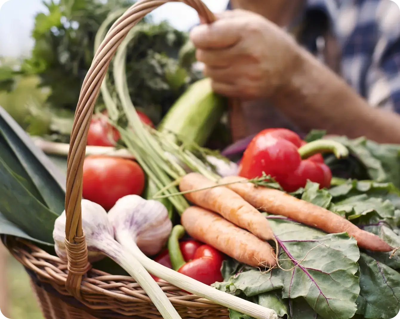 Hombre en el campo con una cesta con verduras@2x