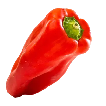 Pimiento_rojo2x