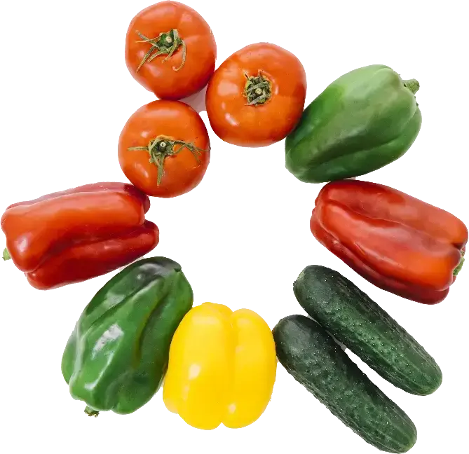 Verduras_formando_circulo2x